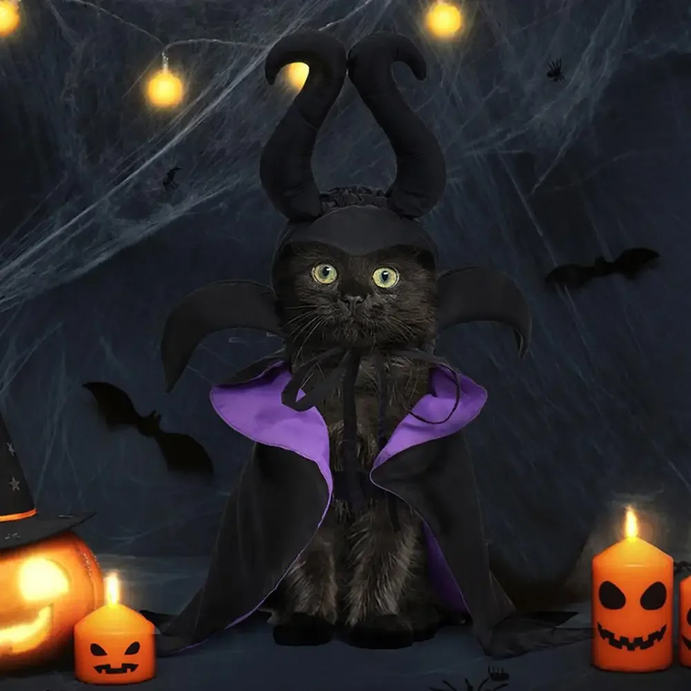 Pet Costumes Halloween Pet Witch Costume Adjustable Funny 3D Pet Cloth For Small Large Dog Cat Cosplay Hat Cloak Puppy Halloween Accessories