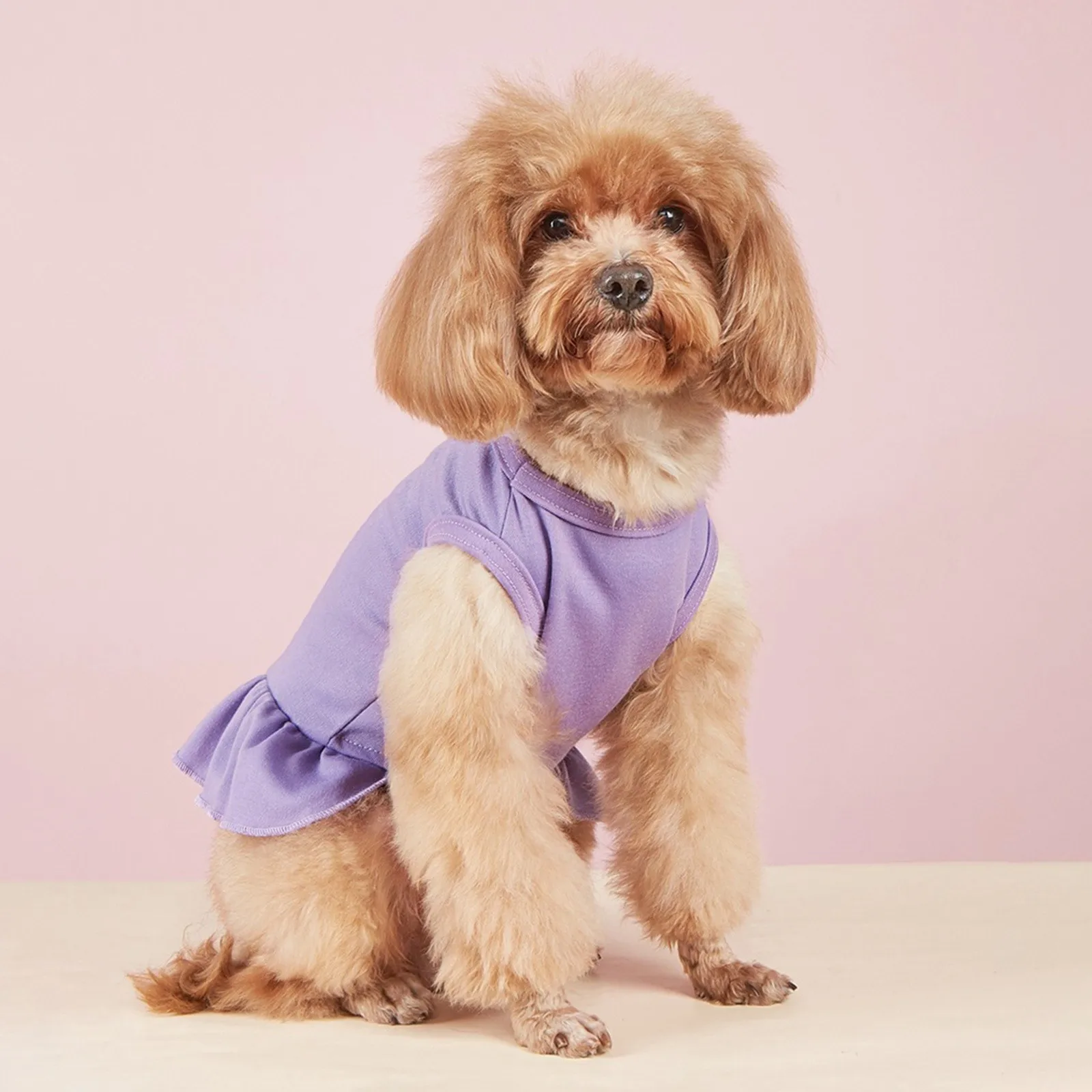 Pet Clothes Spring Summer Pet Breathable Comfortable Clothes Cute Printed for Cats for Large Dogs Female