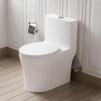 Compact One Piece Toilet, Quiet Dual & Powerful Flush Modern Toilet, Space Saving Toilet with Soft Close Toilet Seat 1