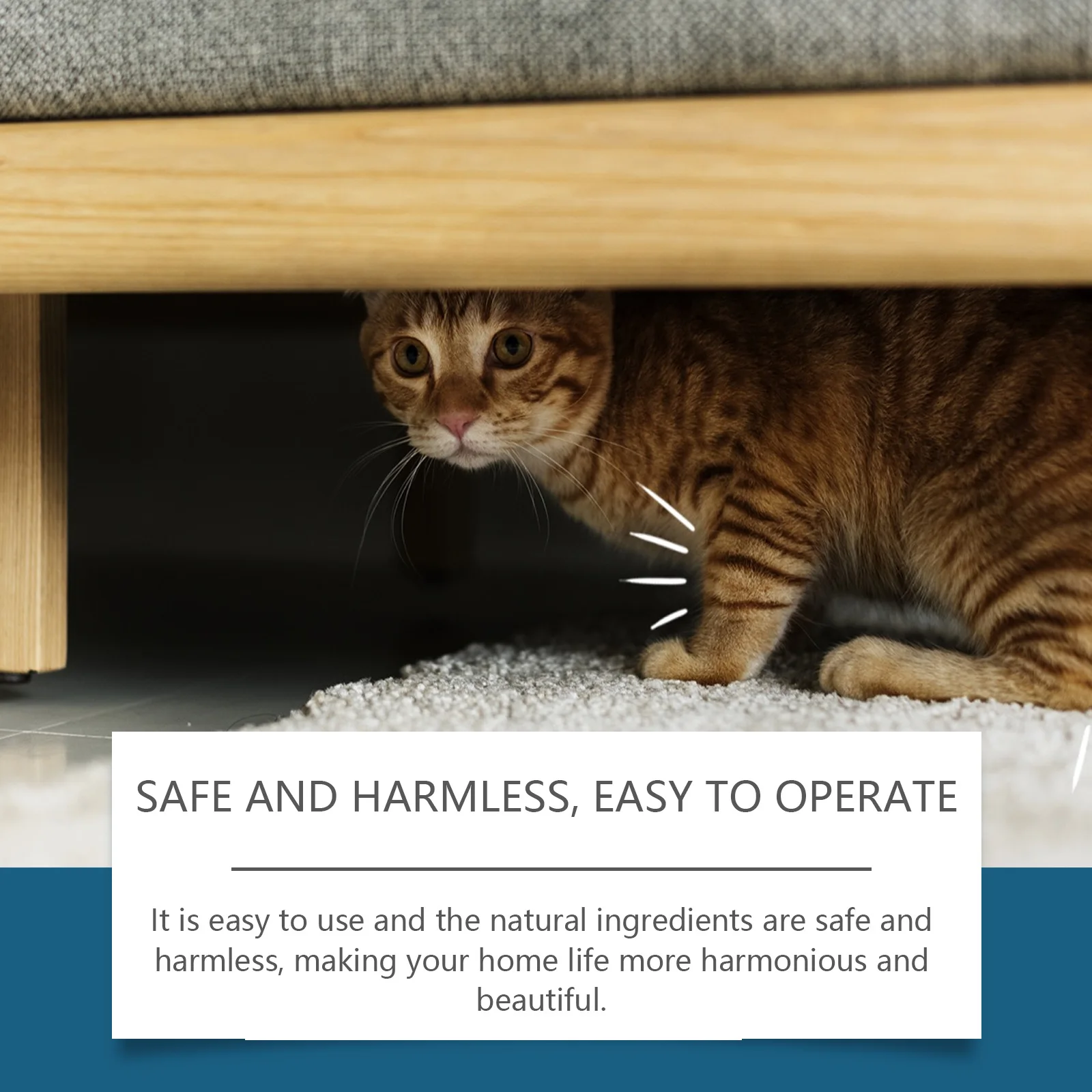 Cat Repellent Spray Anti Scratch Prevent Biting Scratching Stop Sofa Chew Gnaw Corrector Furniture Protect Pet Training Liquid 6