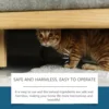 Cat Repellent Spray Anti Scratch Prevent Biting Scratching Stop Sofa Chew Gnaw Corrector Furniture Protect Pet Training Liquid 6