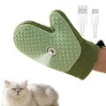 Steam Glove
