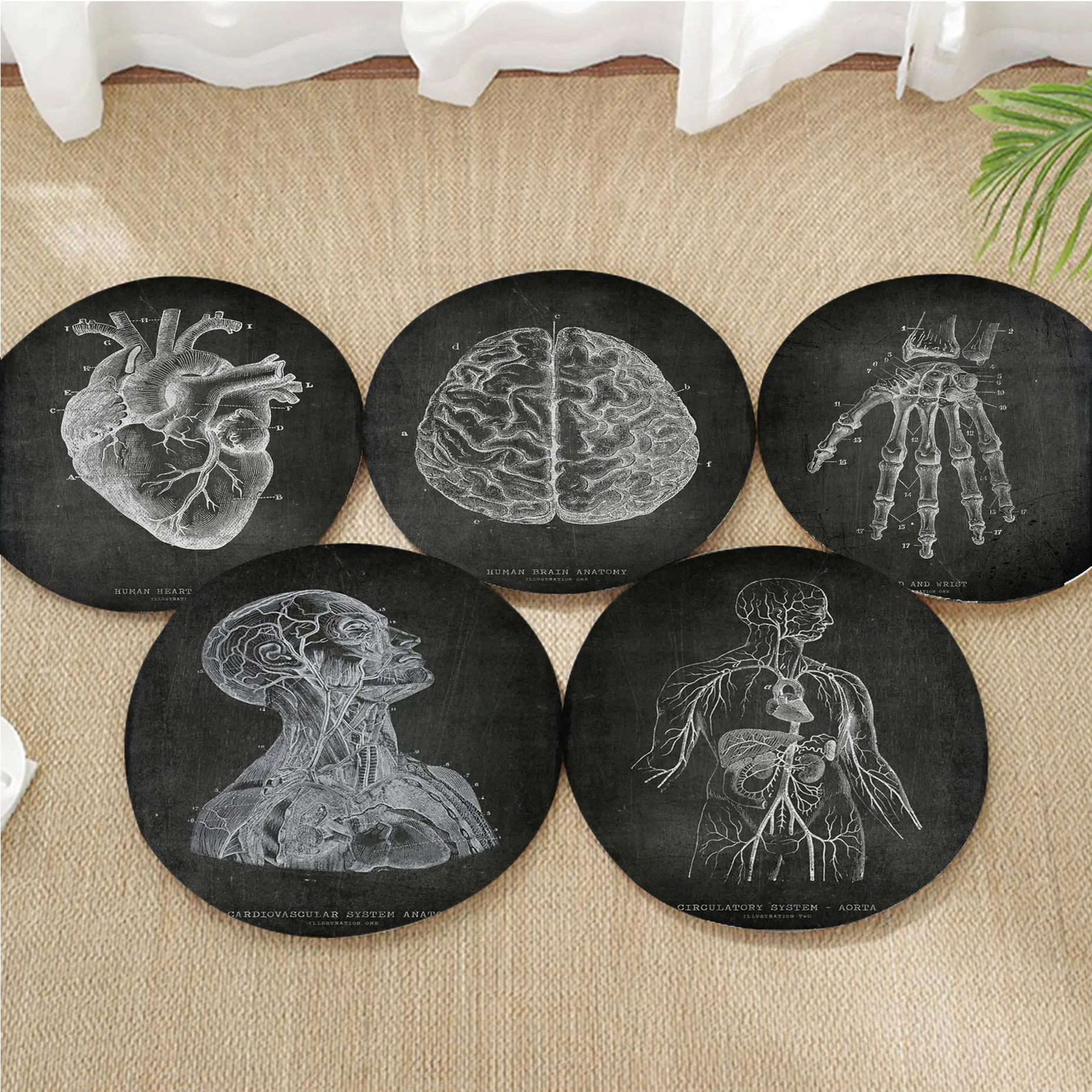 

Anatomical Skeleton Four Seasons Stool Pad Patio Home Kitchen Office Chair Seat Cushion Pads Sofa Seat 40x40cm Chair Mat Pad