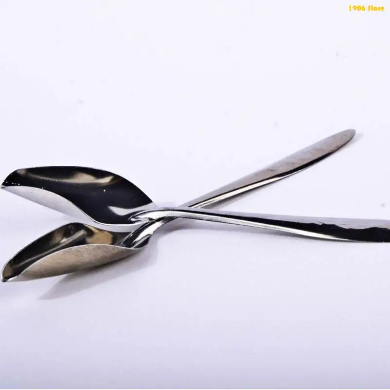 U1JB 5 pezzi Cucchiai per mangime per uccelli Paletta per mangime in acciaio inossidabile Bevitore in metallo per uccellini - immagine 3