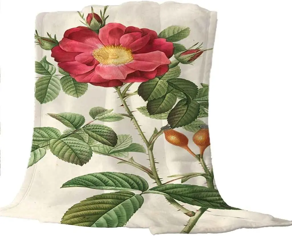 �ſ� �ε巯�� ���� �Ĺ� �� ���, ������ �����ϸ� �����ϸ� �������� �پ ������ ���� ���, �繫�� �޽� ħ�� ���