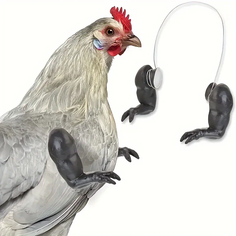 Chicken decoration Chicken Forelimb Arm Decoration Pet Toy Arm Decorated Dinosaur Forelimb Spoof