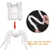 125cm Giant Hairy Spider Realistic Scary White Spider Props with Red Eyes for Indoor Outdoor Haunted House Halloween Decoration 5