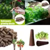50Pcs Hydroponic Growing Blocks Quality Sponge Material Lock Water Breathability Efficient Vegetables Fruits Flowers Plant Block 1