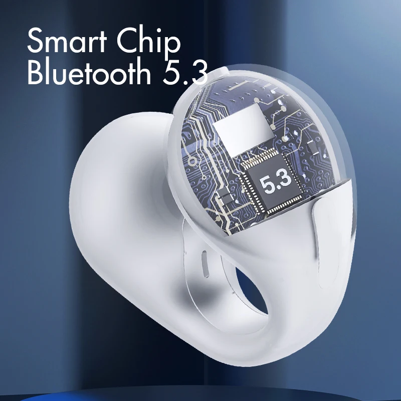 2023 1:1 ں  ̾Ŀ TWS ̾   ̾   5.3 , HiFi ׷  ̾ ũ ũ