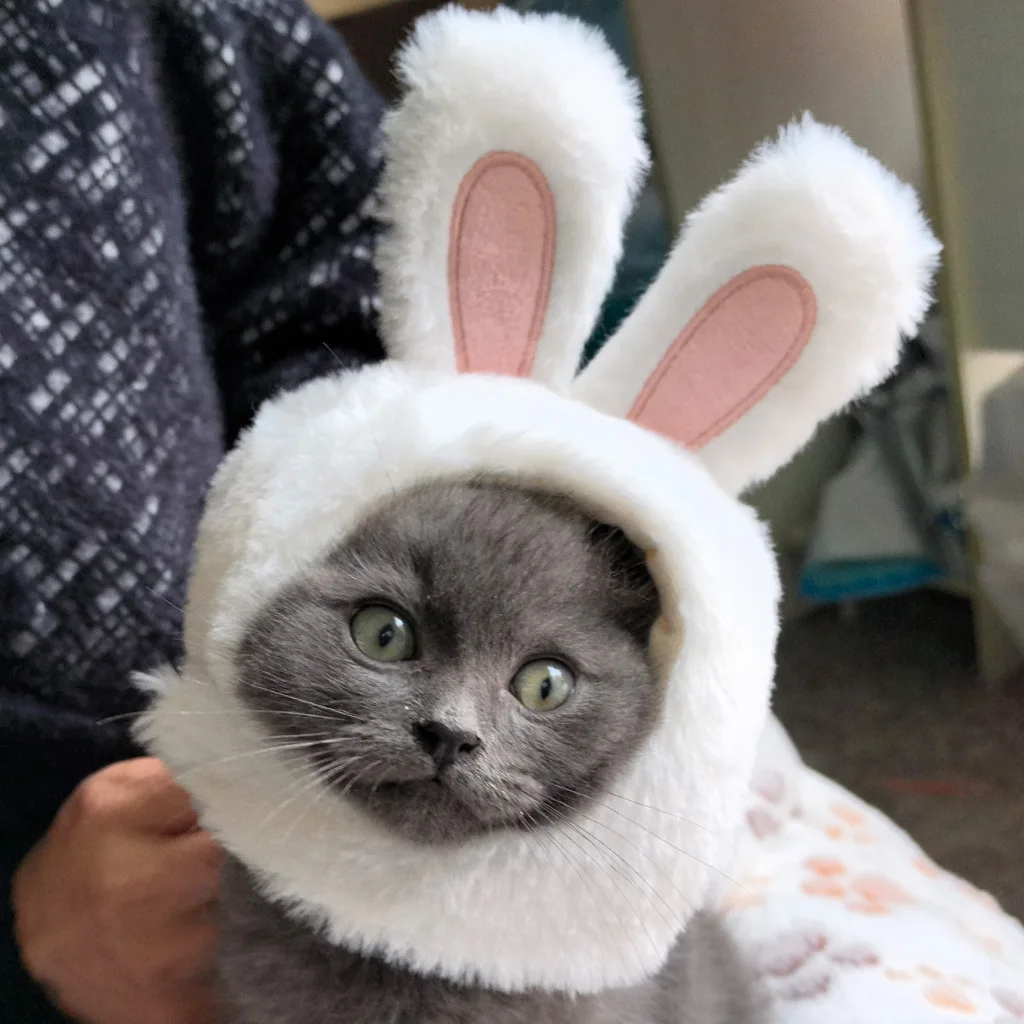 Plush cute rabbit hat for cats and small dogs cat decoration accessories soft pet supplies cat head cover hat