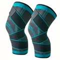 2Pcs Blue