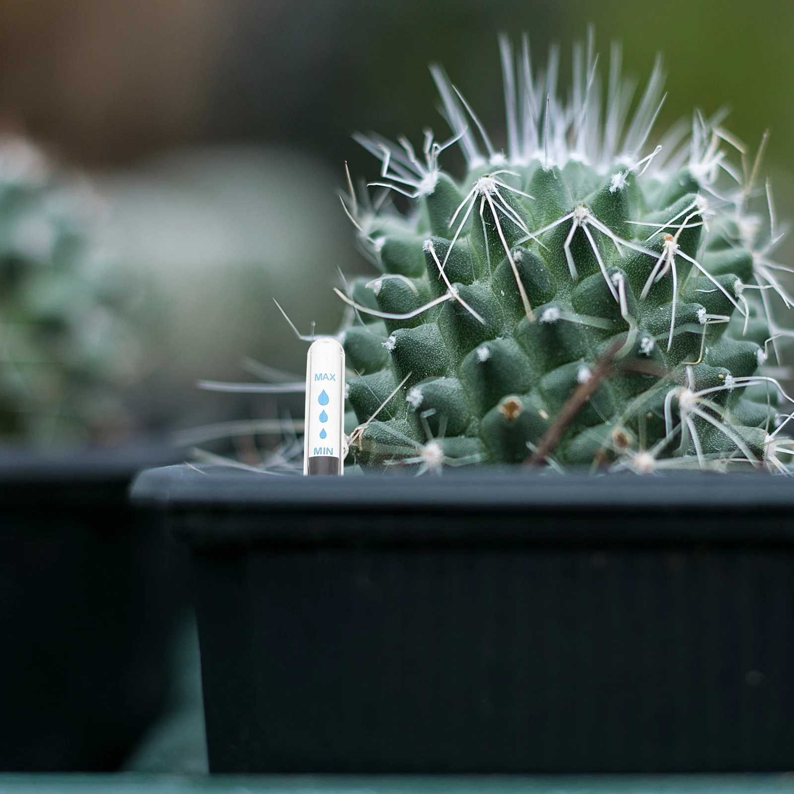 4pcs Plant Water Level Gauge With Float Design For For Flower Pots And Tanks