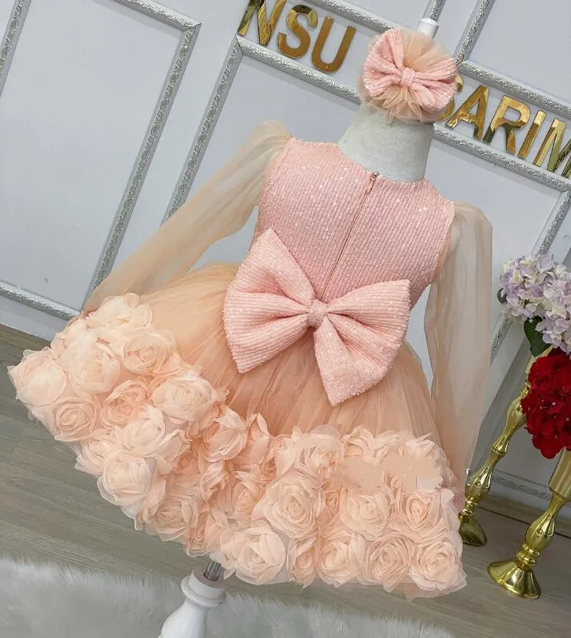

Long Sleeves Princess Birthday Dress Floral Champagne Tulle O Neck Child Dress New Baby Girl Gown Christmas Gift