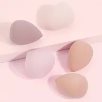 MAANGE 5PCS Makeup Sponge Blender Set Foundation Concealer Powder Cream Puff Dry&Wet Cosmetic Puff Multi-colored Beauty Sponges 4