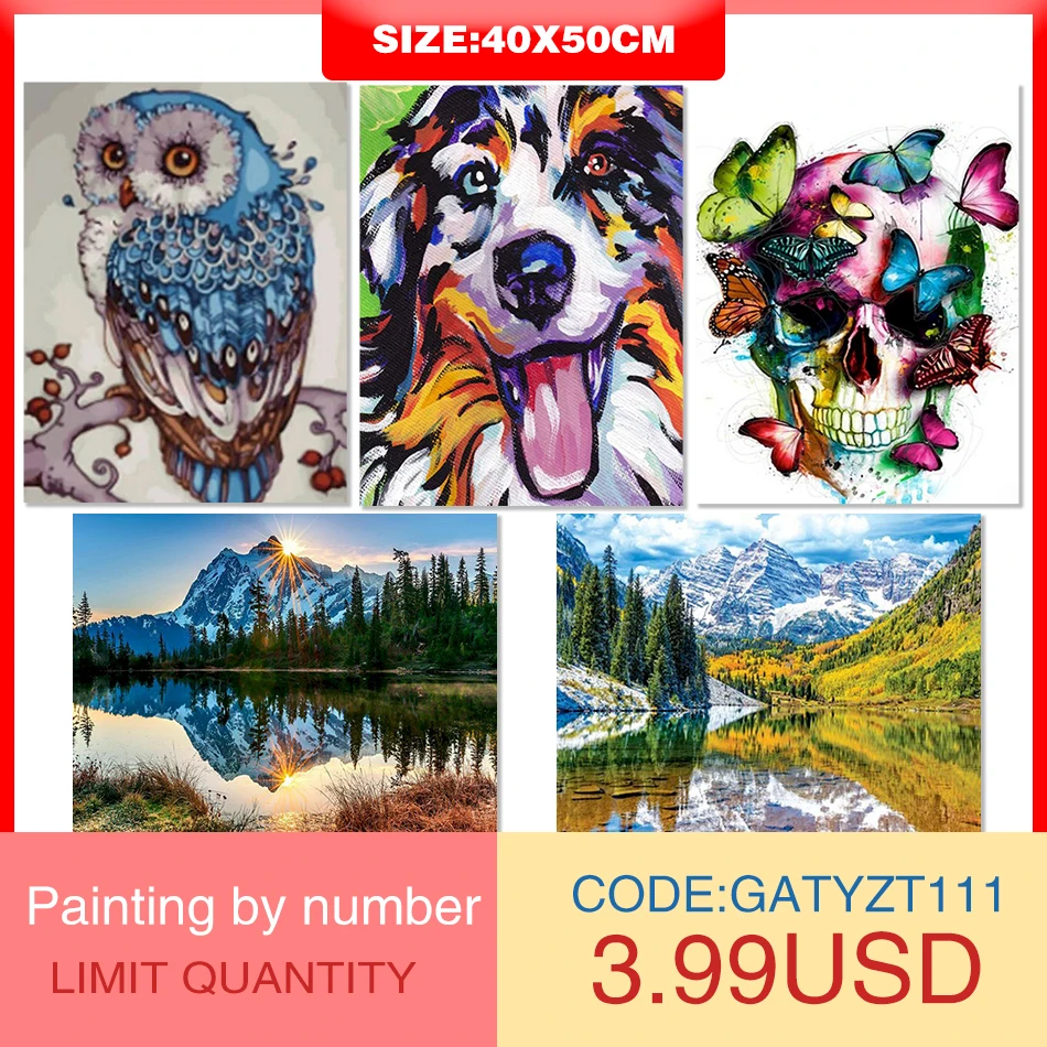 

GATYZTORY 40x50cm Acrylic Paint By Numbers For Adults Colorful Dog Owl Animals Picture By Numbers Wall Artwork For Home Decors