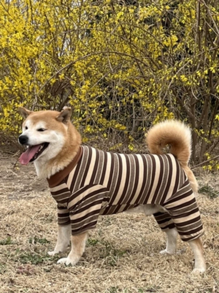 

Big Dog Clothes Spring Summer Golden Hair Labrador Medium And Large Dog Anti Hair Four Legged Clothes