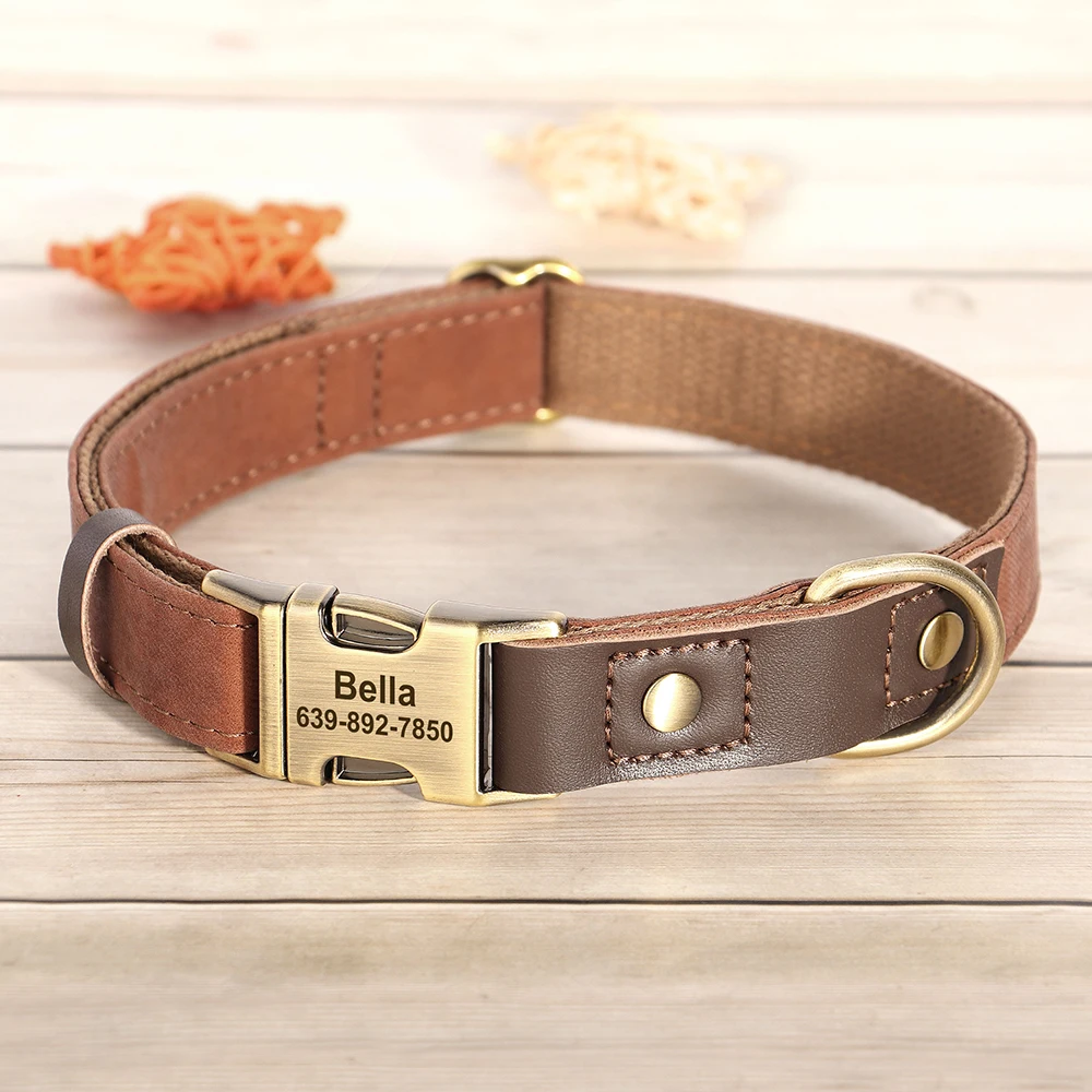 Brown Collar