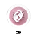 Z19
