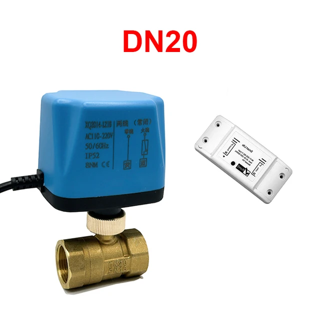 DN20
