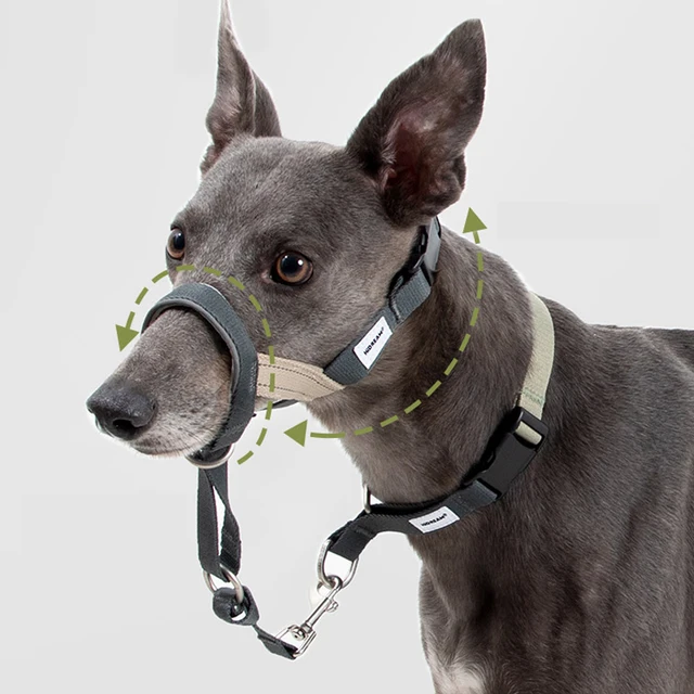 Soft Dog Head Collar Patented Padded No Pull Head Halter Training Nose Leash with Safety Link for Medium Large Dogs Adjustable 5