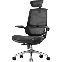 M59AS Ergonomic Office Chair, Desk Chair with 3D Flip-up Armrests, Computer Chair with Dual Back Design and Adaptive Dynam 1