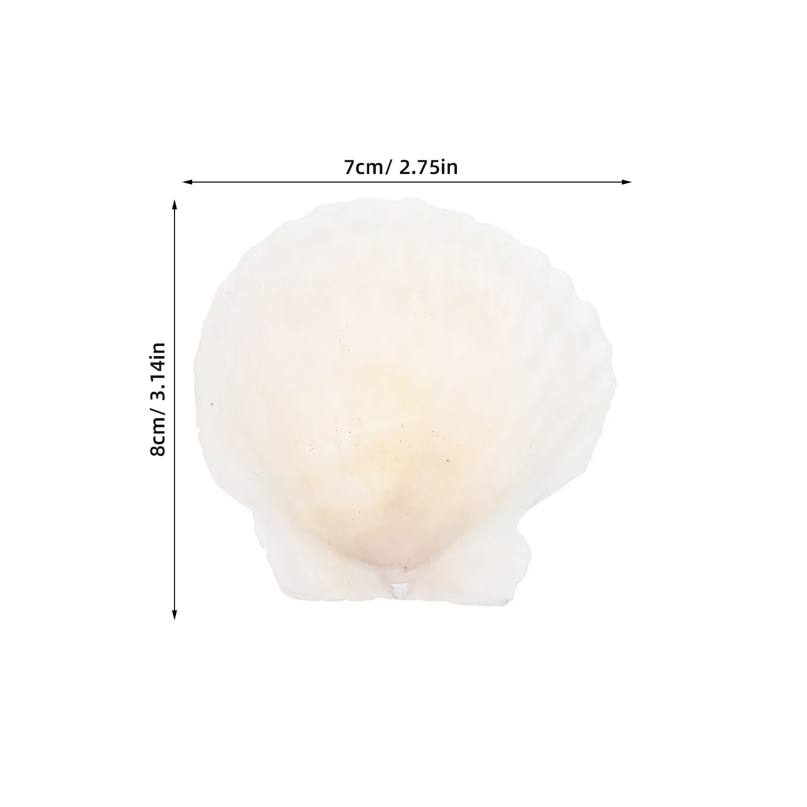 10Pcs DIY 쉘 키트 공예용 천연 가리비 장식품 바다 조개 장식 어항 DIY 장식품 웨딩 홈 장식