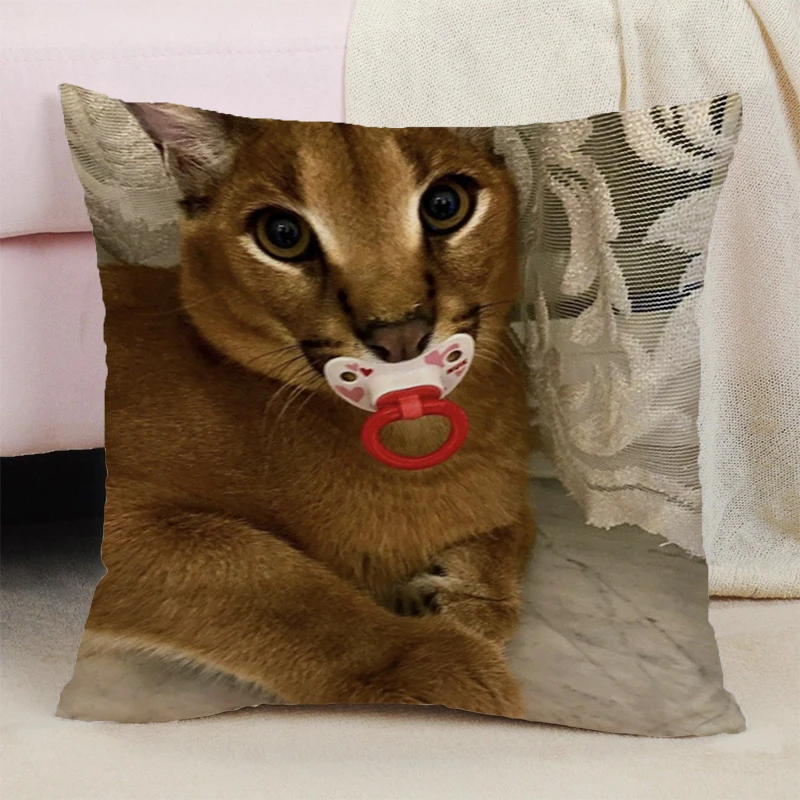 

Handsome Caracal Sitting Cushion Cover 45x45 Cushions Covers for Bed Pillows Double-sided Printing Decorative Pillowcases 50x50