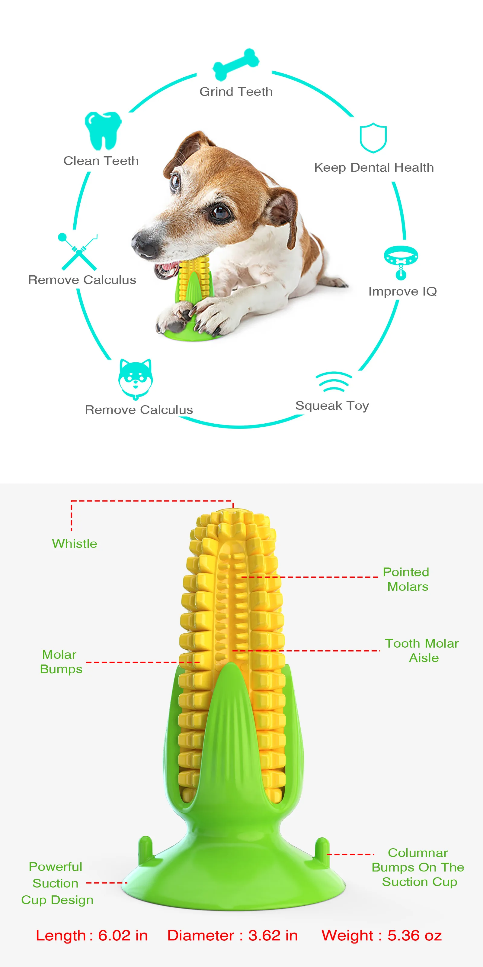 Pet Toys Corn dog stuff Sound Toothbrush Grinding Stick Dog Toys 5