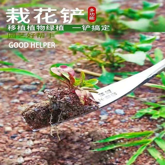 Kerti Gyomlálás És Transzplantációs Szerszám Mezőgazdasági Lapát Fokhagyma Nőnek Zöldségek Ásni A Gyökereket Lapáttal - Image 4