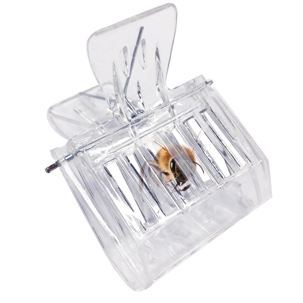 Beekeeping Tools Beekeeping Accessories Bee Cage Bee Queen Catcher Colorless Plastic Queen Cage Clip Isolation Room Beekeeper Equipment