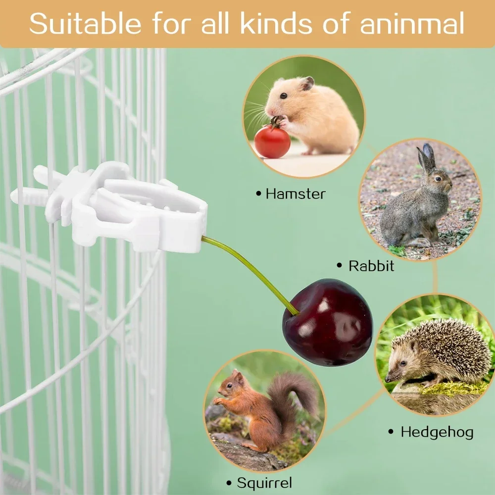 Birds Food Holder Pet Parrot Feeding Fruit Vegtable Clip Cuttlefish Bone Feeder Device Pin Clamp 12pcs Bird Cage Accessories