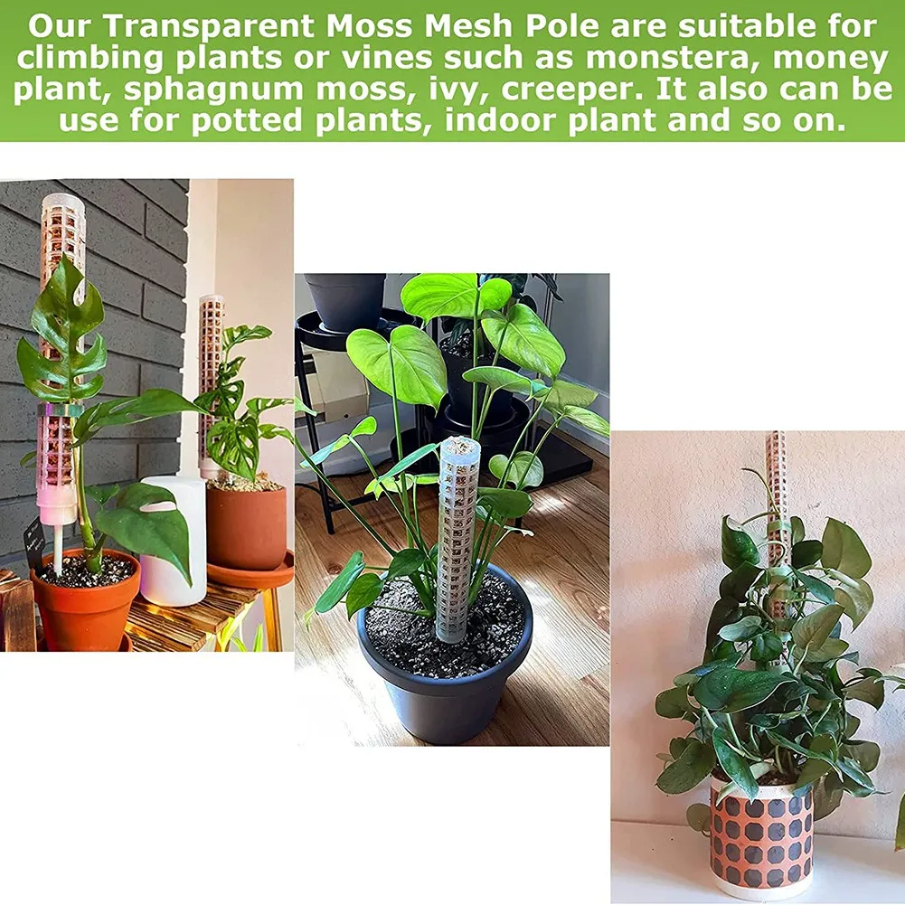 Musgo De Plástico Pólo Para Plantas, Malha Transparente, Estaca Pequena, Monstera Plantas Em Vaso, 6Pcs, 15\