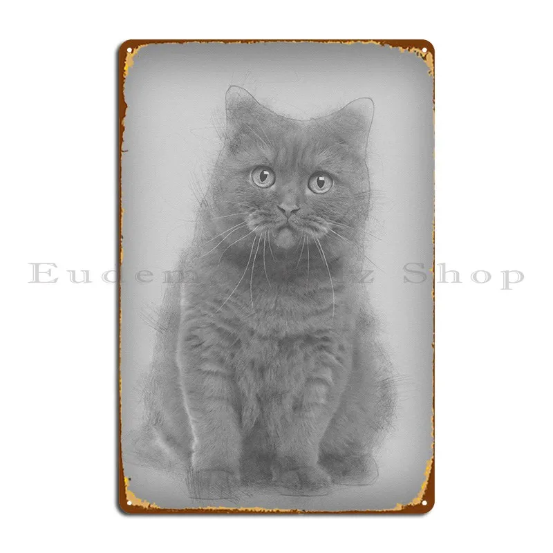 

Британская короткая металлическая табличка 20 месяцев, настенная фотография, Настенная роспись, оловянный знак, плакат