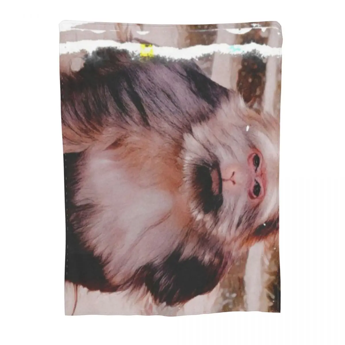 Xingxing ��Ű ��Ʈ ��Ʈ�� ����Ʈ ����ũ�� �ø��� ���