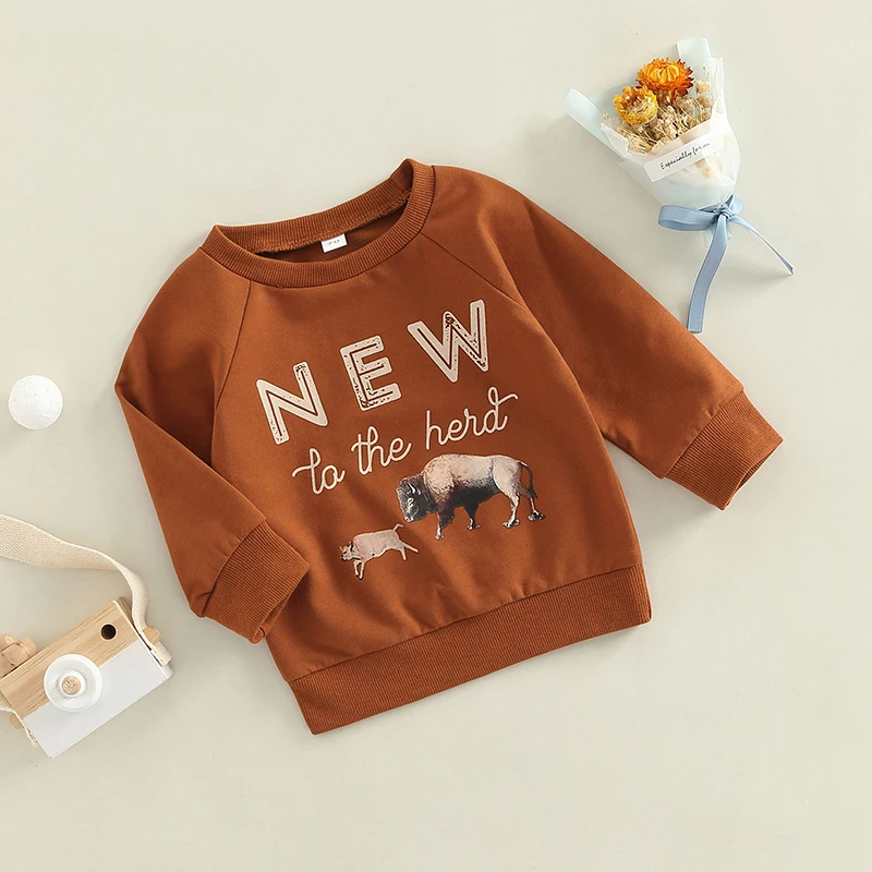 FOCUSNORM 0-3Y Toddler Baby Girls Boys Sweatshirt T Shirts Cartoon Animal Letter Print Long Sleeve Casual Pullover Tops