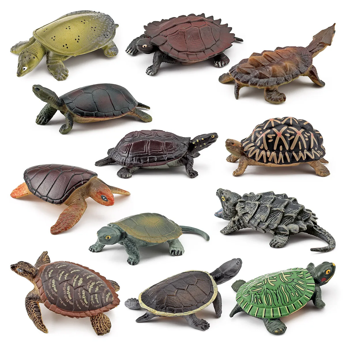Types of Sliders Turtles: What They Are, Why They Matter, and Which ...