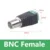 BNC Female