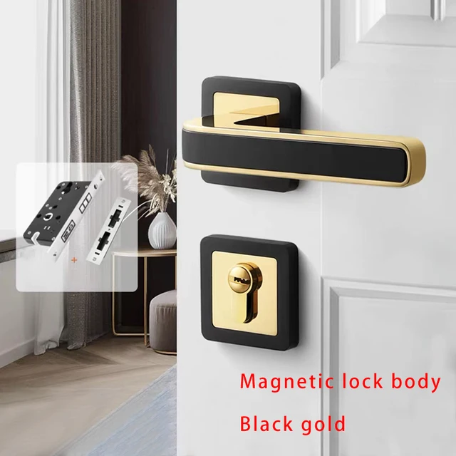 Magnetic lock body 3
