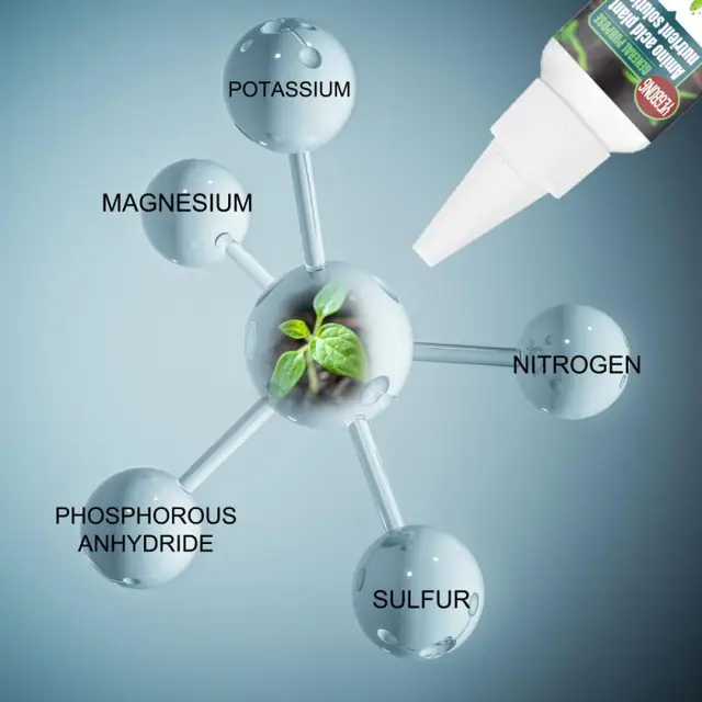 30/100 Ml Aminosav Növényi Tápanyag -Oldat Hidroponikus Folyékony Műtrágya Koncentrált Gyepfű Talaj Kondicionáló - Image 5