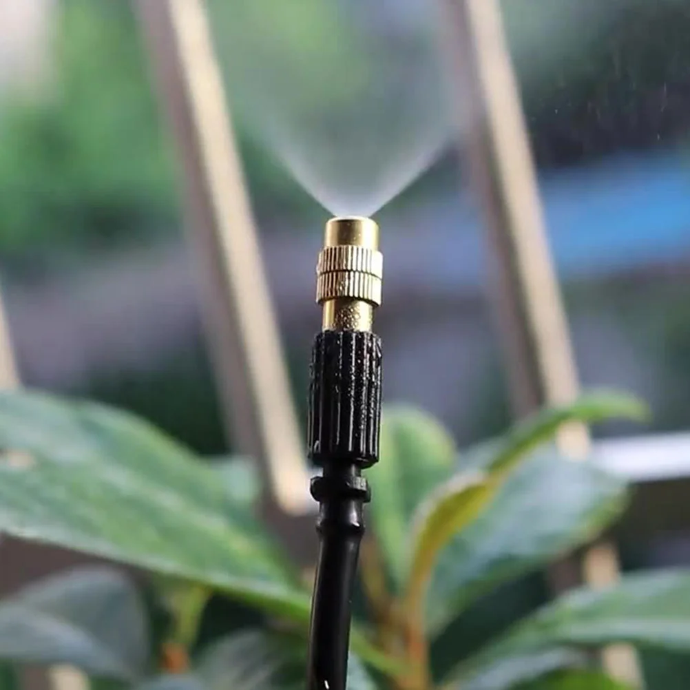 ������ �帳 ���� ���� ȣ�� ������Ŭ��, ���� �½� �޼�, 50 ��