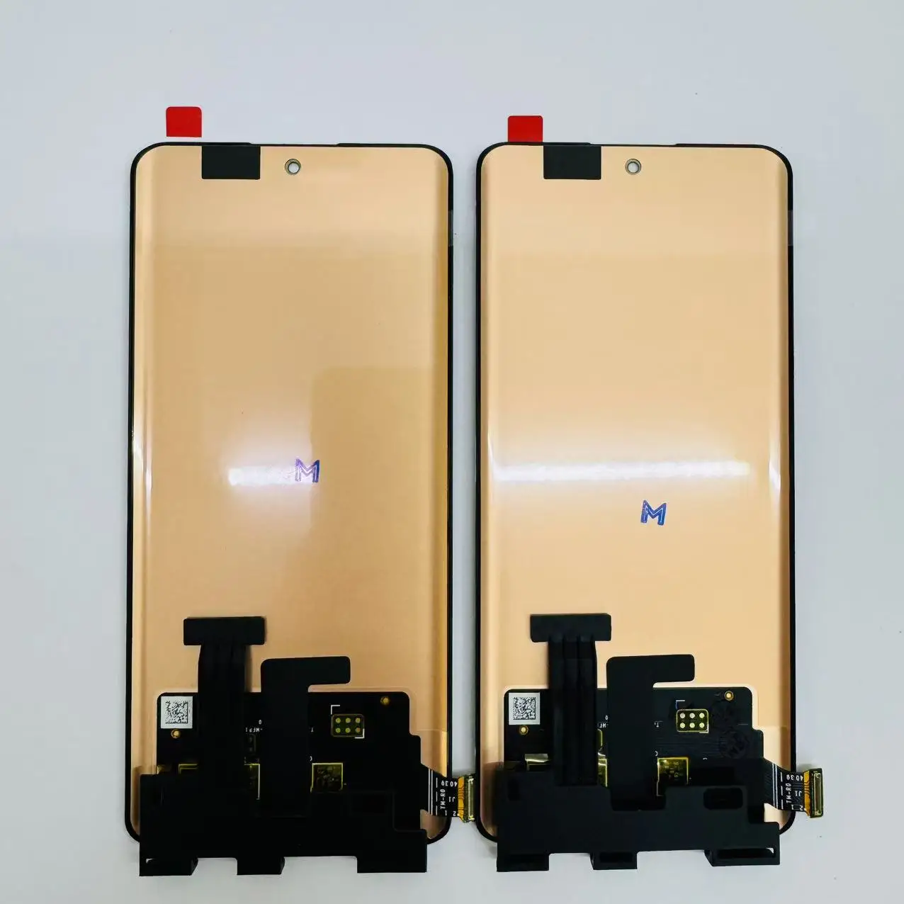 S29059f80b8c54bcaa022460c2fcbf