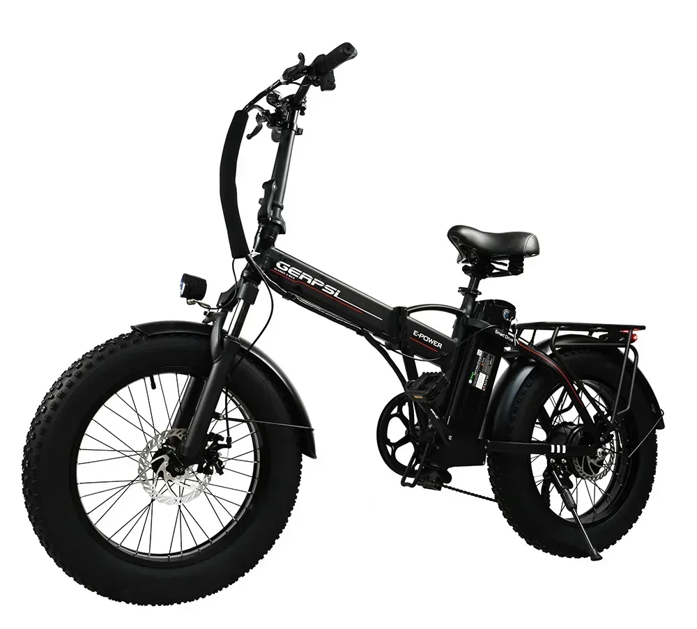 750W Aluminum alloy E-bike DZ-2002 20inch Fat Tire Beach Snow Fold Electric Bike 48V 13AH Lithium Battery Electric Bicycle