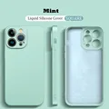 Mint