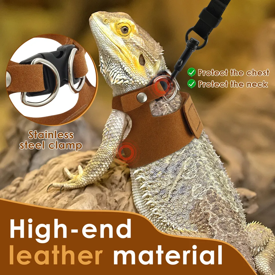 Ferret Harness Bearded Dragon Leash And Harness Set - 3-Size