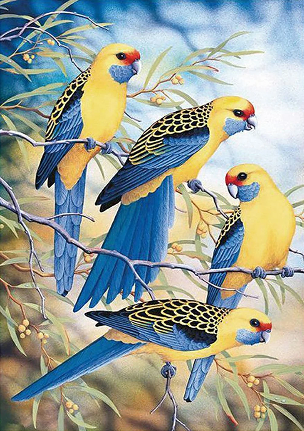 5D DIY Diamond Painting Birds Owl Parrot Full Drill  Diamond Embroidery Mosaic Animal Pattern Cross Stitch Kits Home Wall Decor 