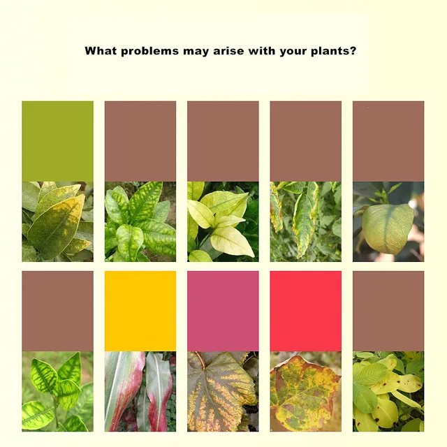 88 G Univerzális, Vezérelt Felszabadító Műtrágya Zöld Növényekhez És Virágokhoz, Lassú Kiadású Műtrágya, Organikus Rázó - Image 3