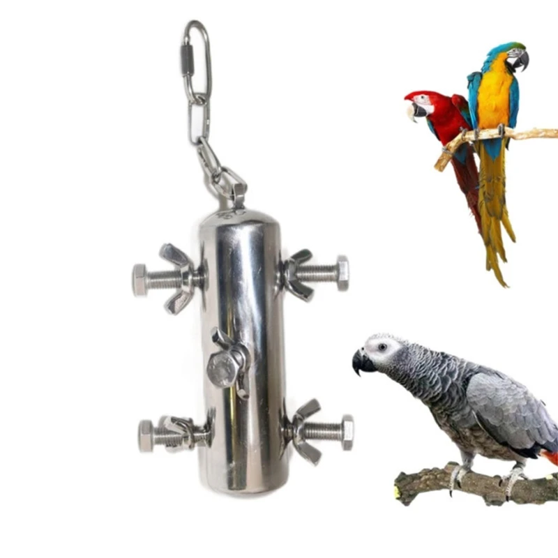 

Bird Standing Toy Parrot Chewing Toy Birdcage Hanging Perch Toy Large Birds Cage Stainless Steel Swing for Conure