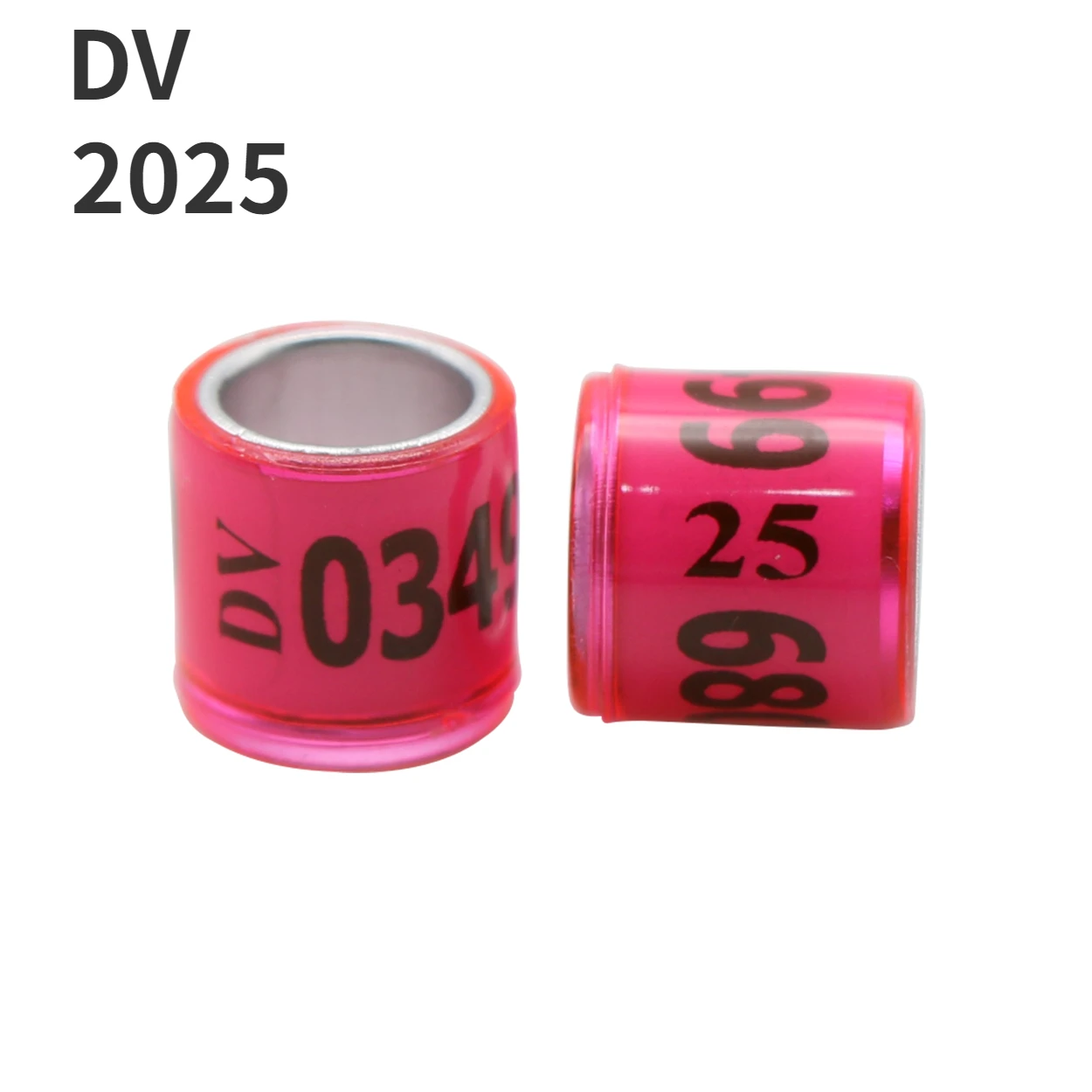 DV 2025