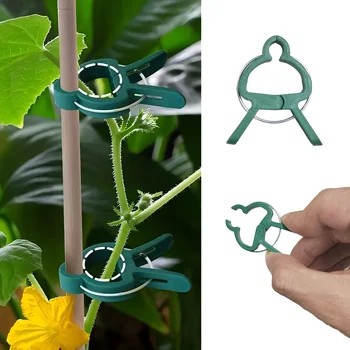 50/30/10pcs Adjustable Plant Clips - Reusable Garden Support For Flowers, Vines, Vegetables & Tomatoes - Durable Plastic
