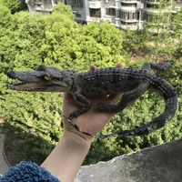 Genuine Leather Small Ornaments Crocodile Ornament Specimen Creative and Personalized Office Desktop Decorations Handicrafts 2